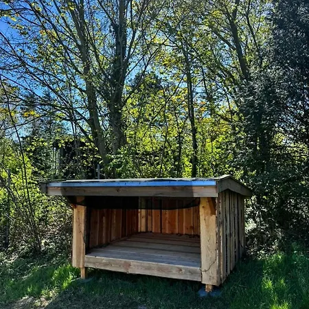 Summer House Near Bathing Jetty At Fynshoved Tatil Evi Martofte